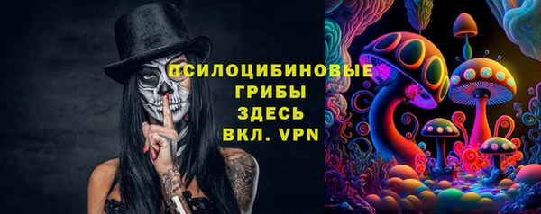 тгк Алзамай