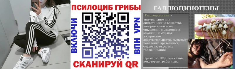 hydra   Грязи  Псилоцибиновые грибы Psilocybine cubensis  где купить наркоту 