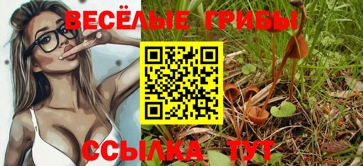 Галлюциногенные грибы Magic Shrooms  Вход с VPN  Грязи 
