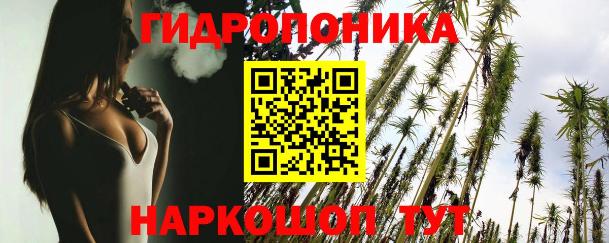 Бошки марихуана планчик  МАРИХУАНА тримм  Канабис OG Kush  Вход с VPN  Грязи  Шишки марихуана семена 